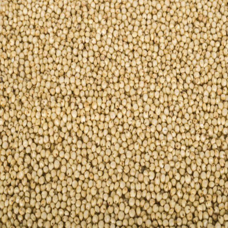 Grains