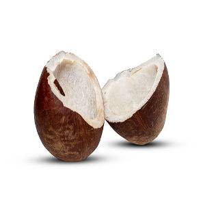 Coconut Products
