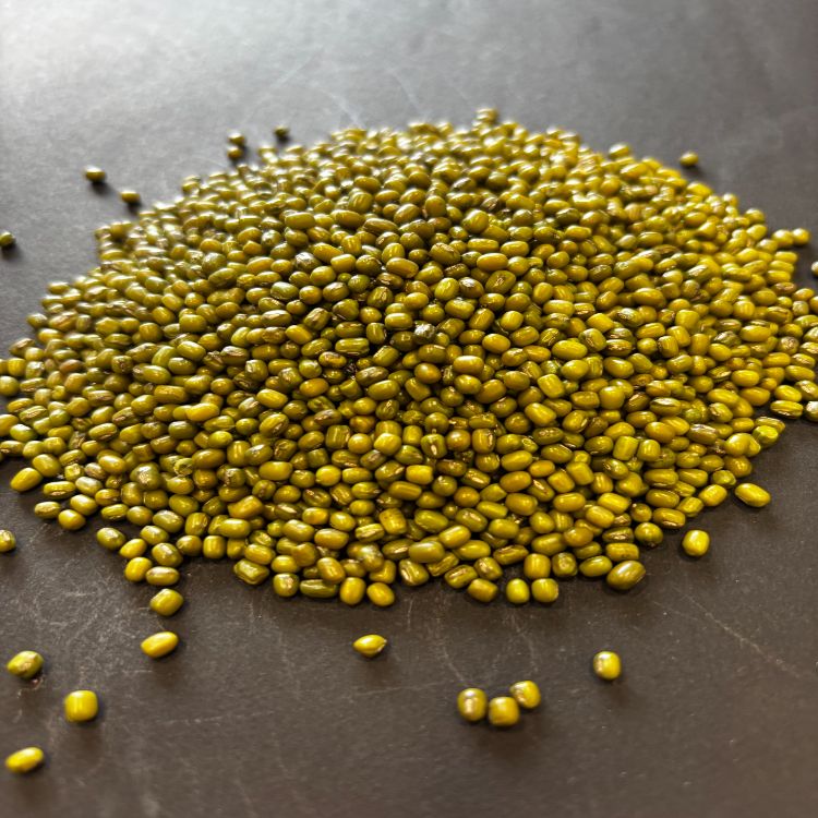 Pulses