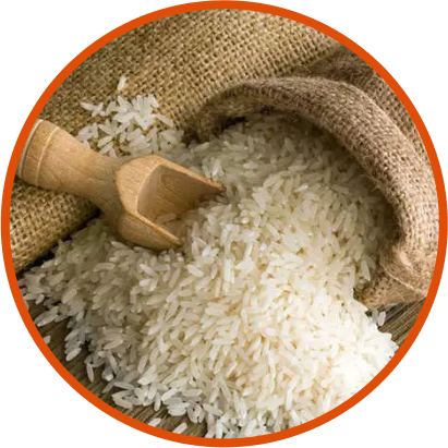 1121 Basmati Rice Export