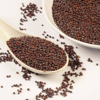 Black Mustard Seeds