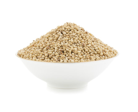 Sorghum