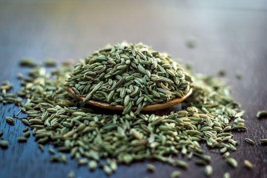 Fennel Seeds