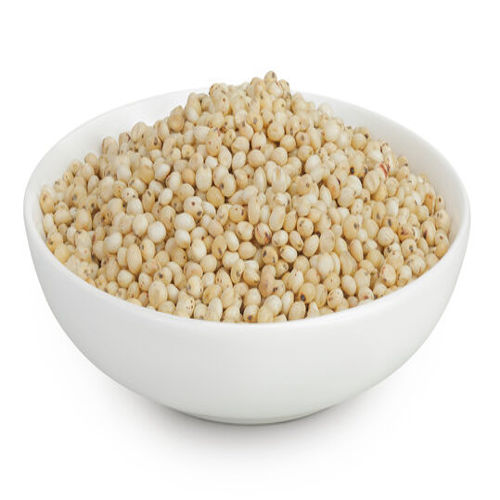 Sorghum