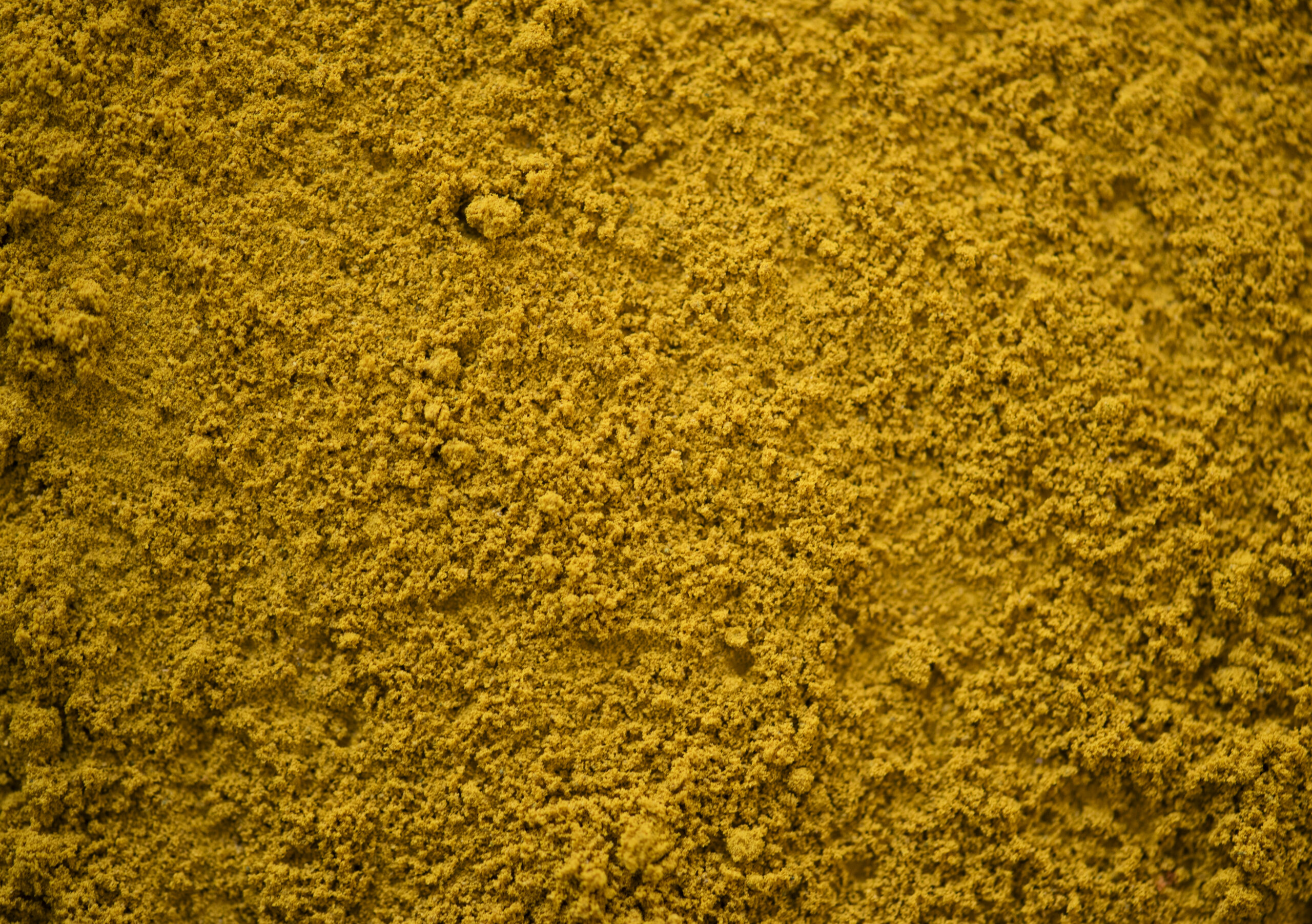 Turmeric Powder