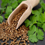 coriander-seeds