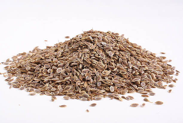 Dill Seeds