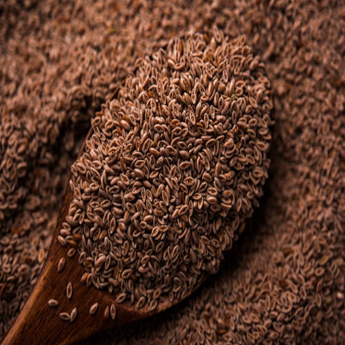 Psyllium Seeds