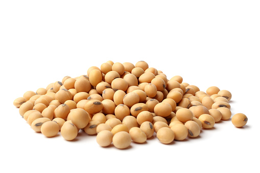 Soyabean Seeds
