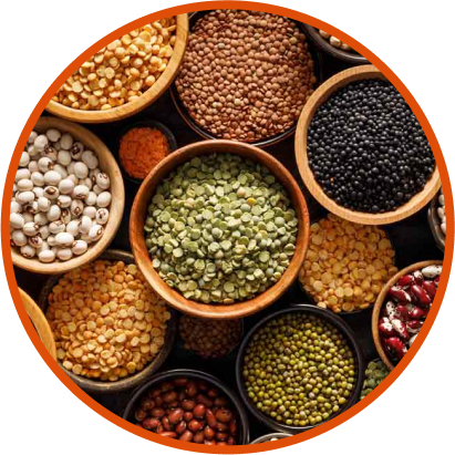 Indian Pulses and Grains