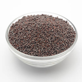 Black Mustard Seeds
