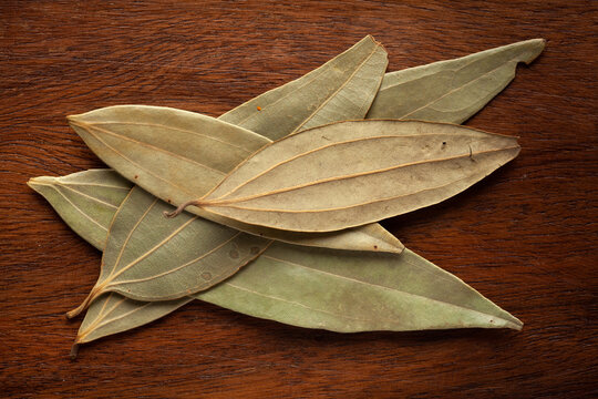 Bay Leaf