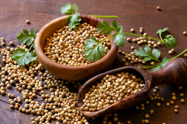 Coriander Seeds