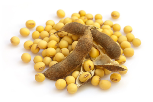 Soyabean Seeds