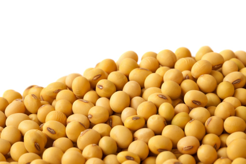 Soyabean Seeds