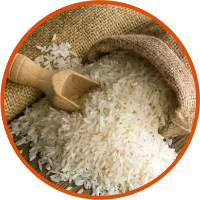 1121 Basmati Rice Export