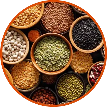 Indian Pulses and Grains