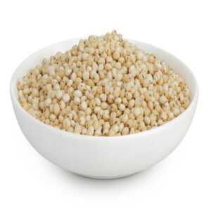 Sorghum