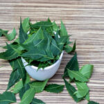dried-neem-leaves