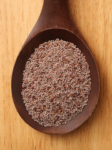 Psyllium Seeds