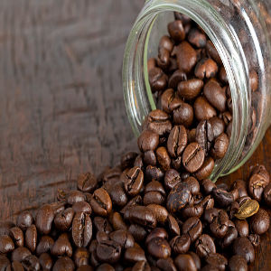 Robusta Coffee