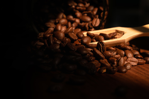 Robusta Coffee