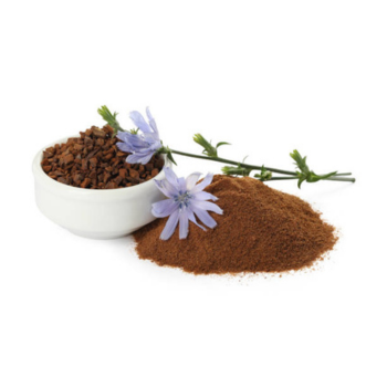 Chicory Powder