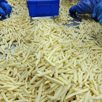 Frozen French Fries