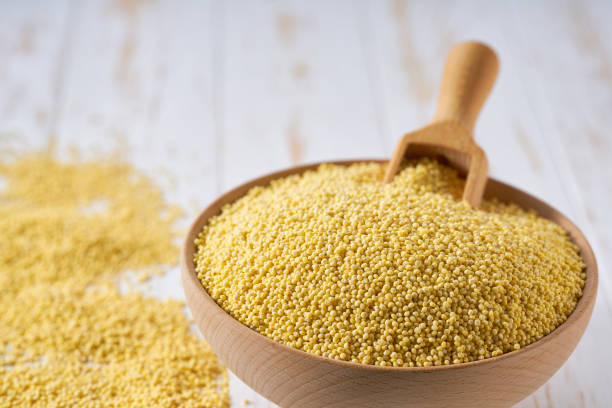 Millet for Animal Feed