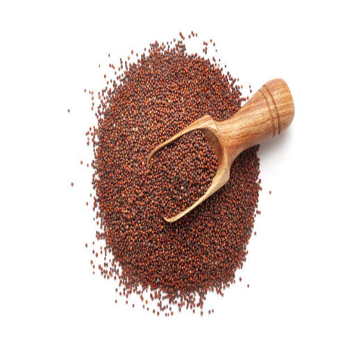 Ragi Millet
